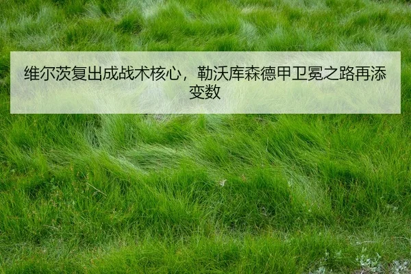 wei-er-ci-fu-chu-cheng-zhan-shu-he-xin-lei-wo-ku-sen-de-jia-wei-mian-zhi-lu-zai-tian-bian-shu-3-886.jpg