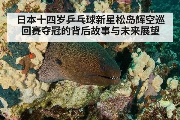 日本十四岁乒乓球新星松岛辉空巡回赛夺冠的背后故事与未来展望