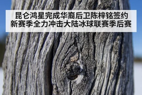 昆仑鸿星完成华裔后卫陈梓铭签约 新赛季全力冲击大陆冰球联赛季后赛